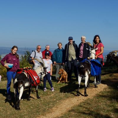 Themen Wanderung Surprise Überraschung mit Packgeissen Jurapark Aargau