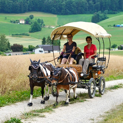 Packgeissen Wanderung mit Ponyexpress Mönthal Aargau